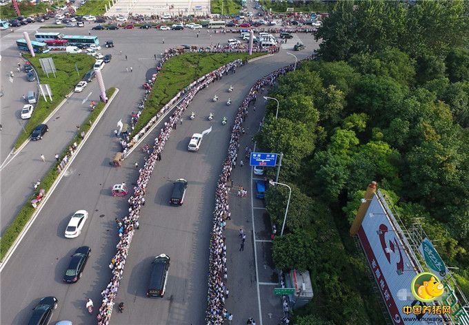 7月20日，许昌市民在马路旁迎接维和烈士李磊、杨树朋灵柩。当日下午，运送维和烈士李磊、杨树朋灵柩的灵车驶向河南省许昌市殡仪馆，当地军民上万人来到马路两侧，为英雄送行。7月10日，中国赴南苏丹维和战士杨树朋、李磊执行任务时，突遭炮袭，不幸牺牲，分别年仅33岁和22岁。为守卫和平，年轻的他们倒在了异国。