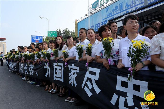 7月20日，许昌市民在马路旁迎接维和烈士李磊、杨树朋灵柩。