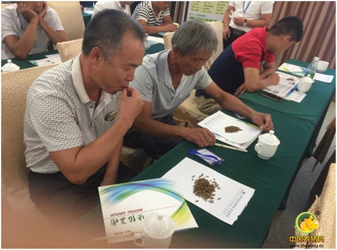 现场嘉宾品尝安佑集团总部带来的黑水虻幼虫