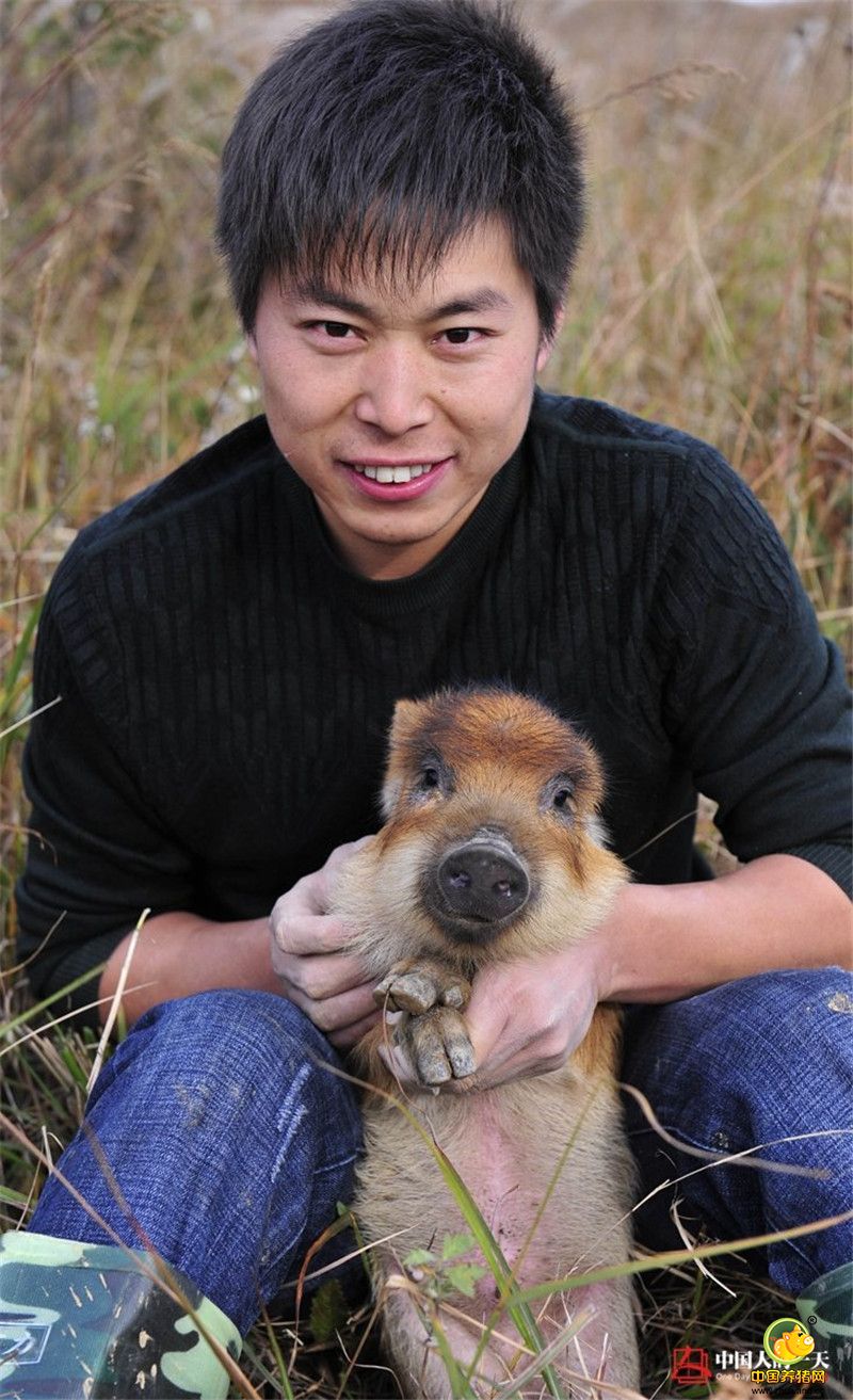 覃沛亮抱起一只出生不久的小野猪崽，说道：“这只是二代野猪崽，性子相对温顺些。”