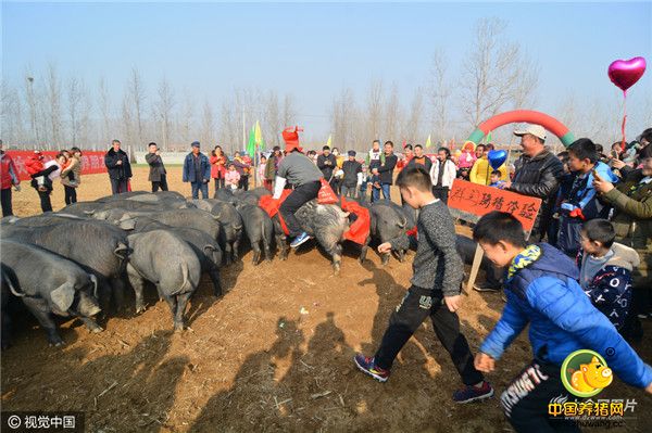 组织者苗希强在骑猪（群主）发红包。