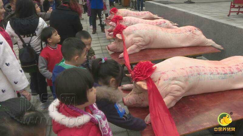 除了杀年猪，所有游客还可以在围坐在室外，热热闹闹一起开席，吃新鲜的年猪宴，体会农家新年的热闹场景。此外，现场还有手绘彩盘，DIY小猪蛋糕亲子游戏，土猪肉特卖、特色歌舞等活动，能让大家有玩有吃有看。