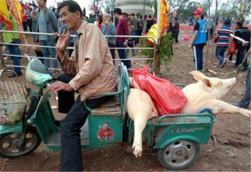 曝料网友观察发现，本次祭祀活动除了人多，最为瞩目的就是现场的祭品，层层叠叠，单是祭祀用的全猪就有50多头。