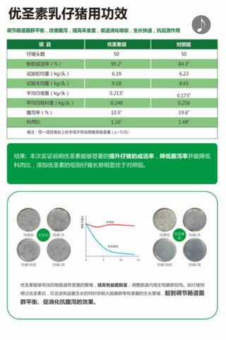 申亚新品  必属精品