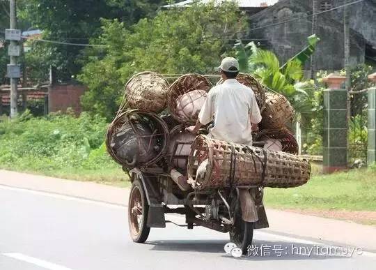 盘点各地的拉猪“猛”车，有的好奇葩，哈哈~