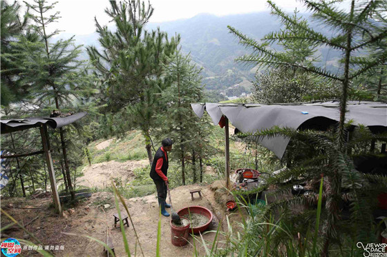 姐弟俩看中的这片山，距离村庄10多公里，海拔过千米。山上无人无路无房，他俩只好扛物资、抬土猪、建房屋，辛苦地一点点做起来。