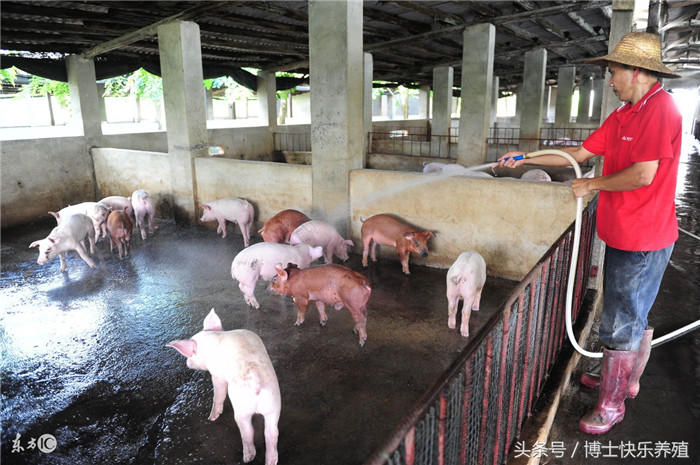 氢氧化钠(烧碱、火碱、苛性钠)：主要消毒范围有大门消毒池、道路、环境、猪舍空栏。烧碱对细菌、病毒均有强大灭菌力，对细菌芽孢、寄生虫卵也有杀灭作用。常配成2-3%的溶液，用于出入口、运输工具、空栏、料槽等的消毒。腐蚀性强，使用时要小心，勿溅到工作人员身上，尤其是眼睛和手。