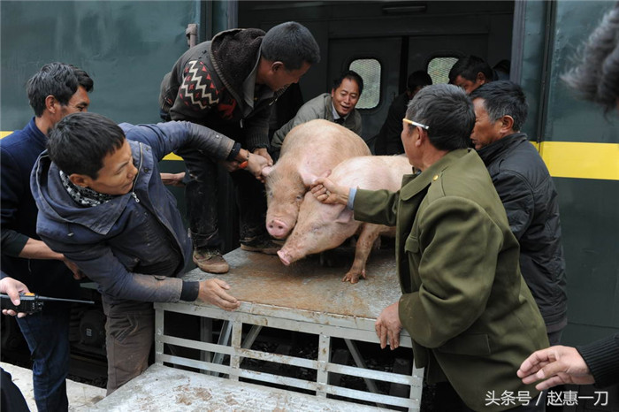 又来了几个大汉帮忙。 