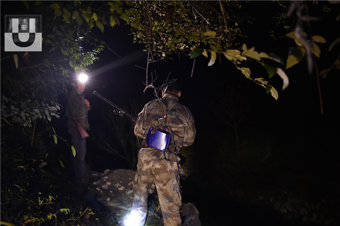 山区的夜晚特别静也特别黑，卢森武和吴光明走走停停，不时将射灯探向两边的山林，他们很少言语，即使有也很小声，用自己的耳朵分辨山林的动静。 