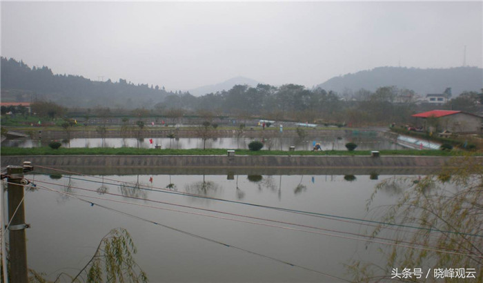 沼液可养鱼。利用沼液中所含的各种养分，培养浮游生物，供底栖生物孳生摄食，同时沼液中含有半消化或未消化的饲料，可直接供鱼食用，弥补人工饲料的养分不足，改善鱼塘生态系统，能使池塘养鱼达到稳产、高产。 