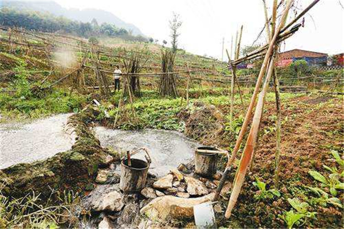 在附近承包点地，给猪种点青饲料、玉米等等，还可以种点果树什么的，猪粪可以好好的利用。在保证猪营养的情况下自己给猪配料，这样不仅能省一笔饲料钱，猪长的也更好。 