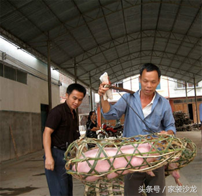 生小猪多了，农村一般会把部分小猪拿到集市去卖，换取钱财买其他需要的东西 