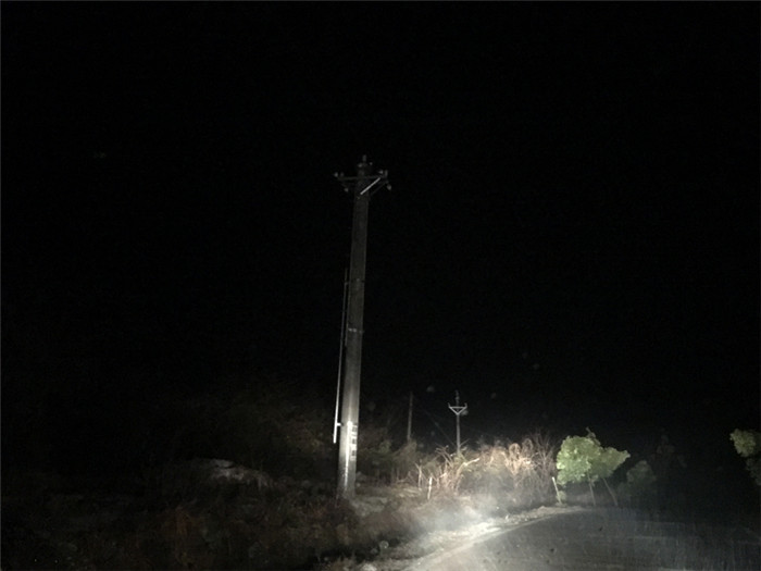 一场突如其来的雨雪冰冻天气导致松滋市洈水镇一养猪场停电，厂内两千头猪崽遭遇严寒威胁。接到消息后，国网松滋市供电公司西斋供电所立即分赴鸡鸣寺村开展检修工作，在连续奋战5个多小时后恢复供电，2000头小猪崽获救。