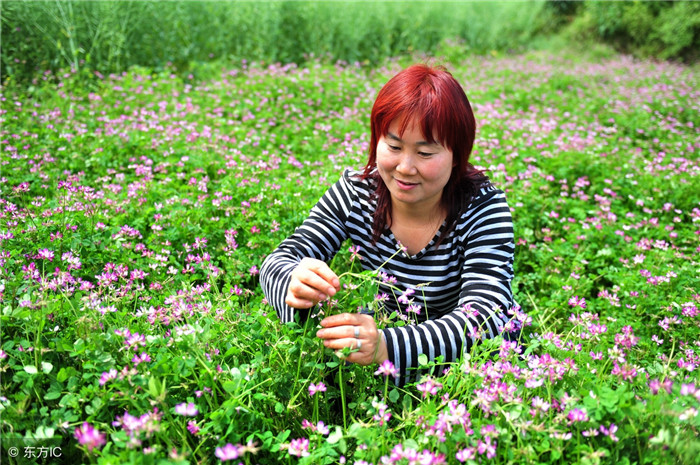 依靠勤劳，阮仕珍的家逐步殷实起来，但她并没有安于现状。2004年，她开始打起了粮食加工厂的副产品——米糠的主意。能不能利用这一现成的饲料发展规模化的生猪养殖呢?经过考察，她大手笔投资30多万元，建起了1500平方米的养猪场。经过几年打拼，阮仕珍的养猪场已形成单次饲养育肥猪1800多头的规模，并饲养了20头母猪，确保猪源无忧，平均每年增加养殖收入40万元，堆积如山的米糠也得以完全利用。（图片来自东方IC） 