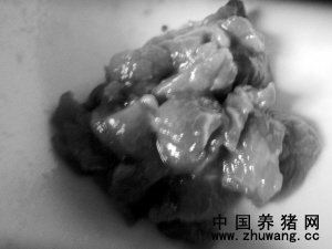 16:15，刚涂上牛肉膏的碎猪肉