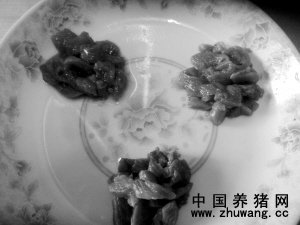 　16:30，新鲜猪肉与涂上浓度不同的两种牛肉膏的碎猪肉颜色渐变。（左上、右上分别涂了两种浓度不同的牛肉膏，下面为新鲜猪肉）