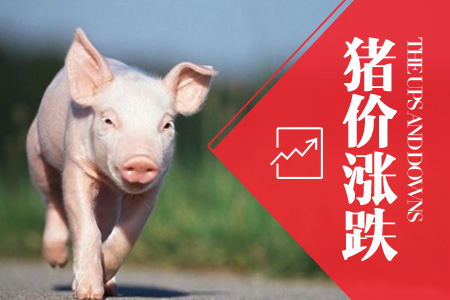 2024年07月05日全国内三元生猪价格行情涨跌表