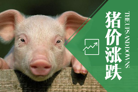 2024年07月01日全国内三元生猪价格行情涨跌表