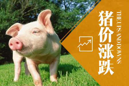 2024年06月28日全国内三元生猪价格行情涨跌表