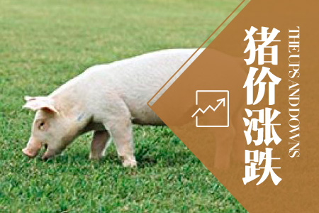 2024年06月27日全国内三元生猪价格行情涨跌表