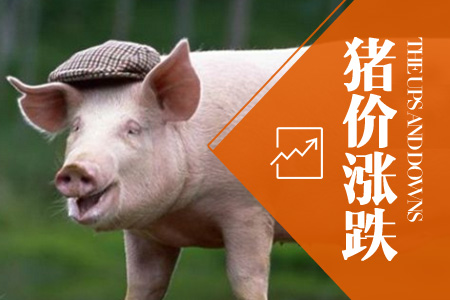 2024年06月29日全国土杂猪生猪价格行情涨跌表