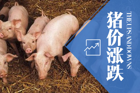 2024年06月30日全国外三元生猪价格行情涨跌表