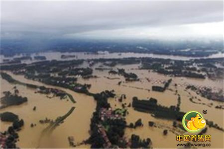 湖北强降雨导致早熟豆受灾 国产豆行情或进一步上涨