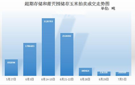 8月玉米聚焦—国储拍卖季