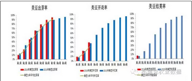 油脂|| 大豆抛储之日就是豆粕下跌之时！