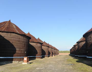 爆满的黑龙江粮仓：粮食只进不出 建仓的地方都没