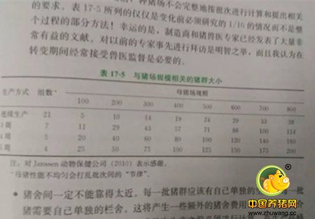 配种分娩率超90%的关键技术，大家都可以！