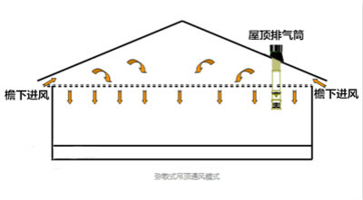 弥散式吊顶：让猪在舒适的畜舍里如沐春风