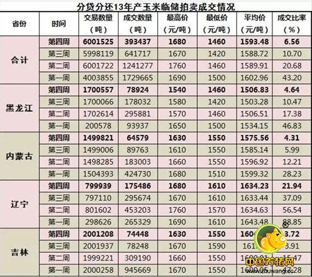 短期玉米价格有望趋稳 需持续关注新季玉米政策