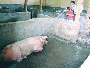 回南天湿哒哒，小心腹泻又要来了