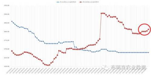 华北玉米逆市上涨 玉米淀粉迎来利好