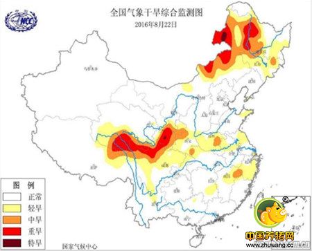 玉米之东加西减南涝北旱中疲软