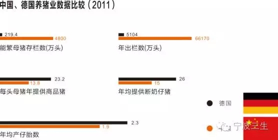 后备及经产母猪定时输精技术背景