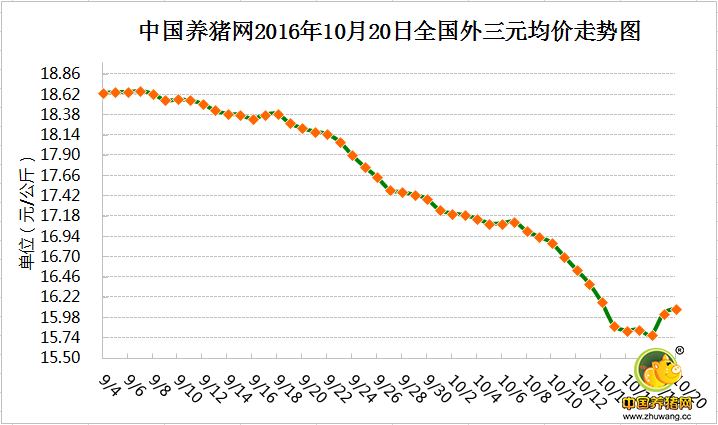 10月20日猪评：台风带来利好 南方猪价将继续上涨