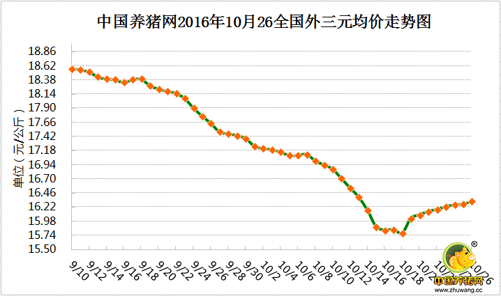 10月26日猪评： 11月涨幅或扩大 猪价将提前回到9元