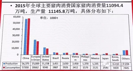 解除痛点！用动物福利理念提升养猪产业