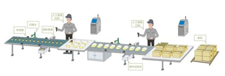 兽药发展中的问题与监管