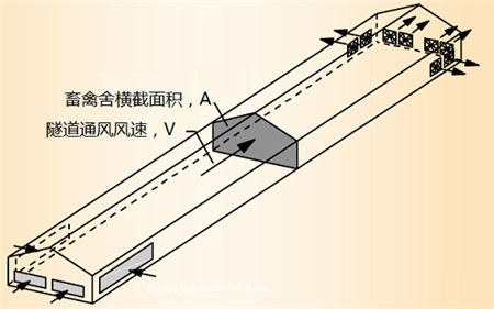 浅谈猪舍隧道式通风