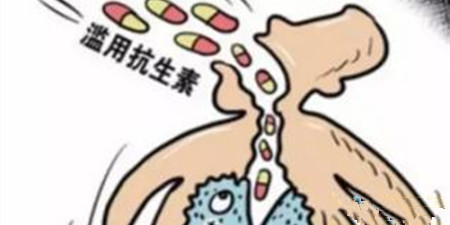 抗生素的有效性降低导致农业中抗生素使用的增加