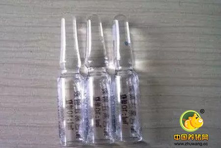 缩宫素在母猪生产中到底该不该使用？