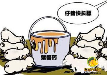 养猪需注意：七种兽药不能长期使用