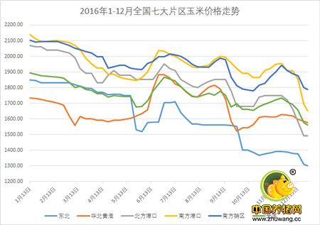 玉米大跳水！一个月下跌200元！