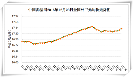 12月28日猪评：猪病高发期遇上杀年猪 养殖户的机会来了!