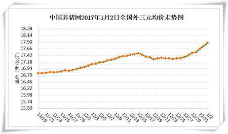 1月2日猪评：涨到了17.87元/公斤! 如果明天猪价能破九……