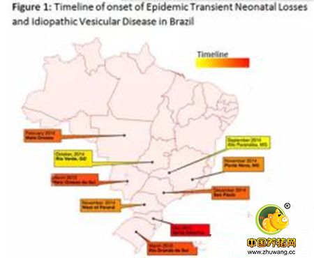 A型塞内卡病毒影响新生仔猪死亡率