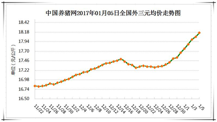 1月5日猪评：猪价重归18元 后期走势需谨慎关注